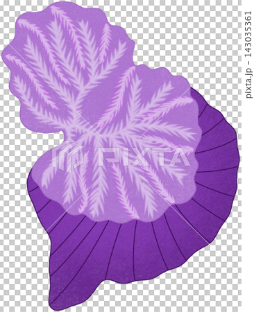 purple cerebellum anatomy purple cerebellum anatomy 143035361