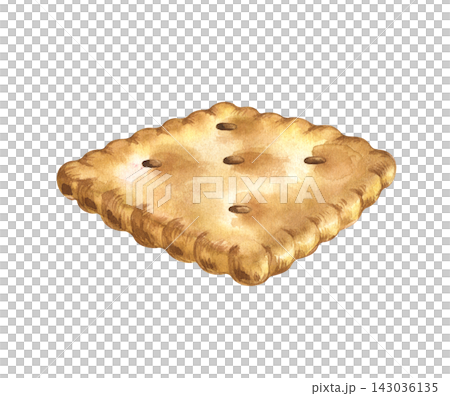Watercolor square cracker cookie hand painted isolated on white background. For bakery branding, snack packaging, recipe books, menus, and culinary design. Watercolor square cracker cookie hand painted isolated on white background. For bakery branding, snack packaging, recipe books, menus, and culinary design. 143036135
