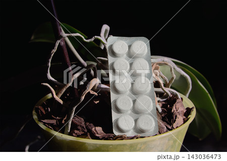 Close-up of orchid roots with a blister of white pills on them against a black background. Close-up of orchid roots with a blister of white pills on them against a black background. 143036473