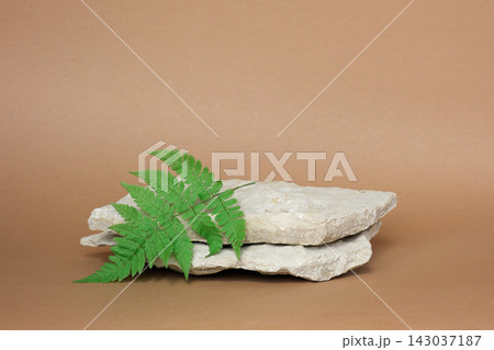 Stone Podium for promotion on beige Background. Natural pedestal. Rock. Beauty product mockup. Scene to show products. Showcase, display case. Front View, soft shadow. Green fern leaf, wooden branch 143037187
