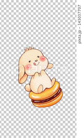 マカロンに乗ったかわいいうさぎの手描きイラスト マカロンに乗ったかわいいうさぎの手描きイラスト 143037707