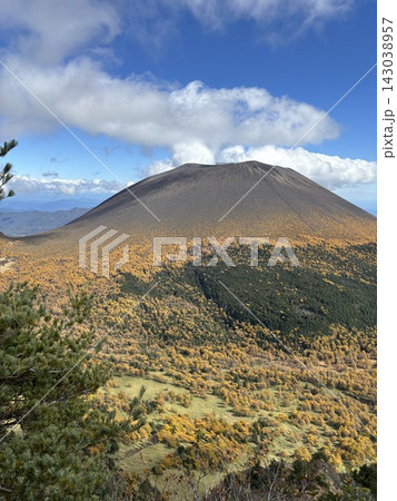 浅間山の紅葉と黄金色に染まるカラマツの山肌 143038957