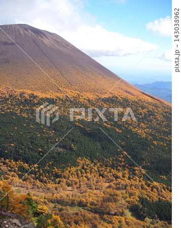 浅間山の紅葉と黄金色に染まるカラマツの山肌 浅間山の紅葉と黄金色に染まるカラマツの山肌 143038962