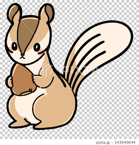 Cute squirrel illustration Cute squirrel illustration 143040644