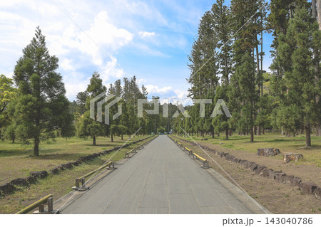 April 28 2026 Serene pathway leading to Zuiganji Temple pine forest 143040786