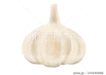 クレヨンタッチの野菜&果物シリーズ「にんにく」 クレヨンタッチの野菜&果物シリーズ「にんにく」 143040986
