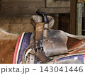 Worn Western Saddle Horn Close Up on Horse with Blanket 143041446
