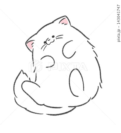 仰向けで寝転がる猫 仰向けで寝転がる猫 143041747
