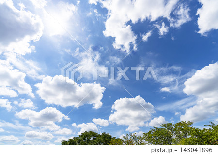 夏の青空と雲と樹木 143041896