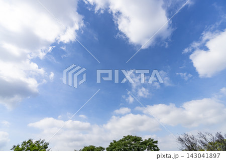 夏の青空と雲と樹木 143041897
