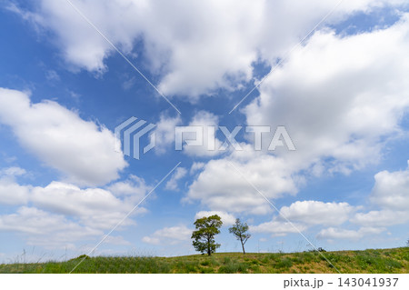 夏の青空と雲と草原 143041937