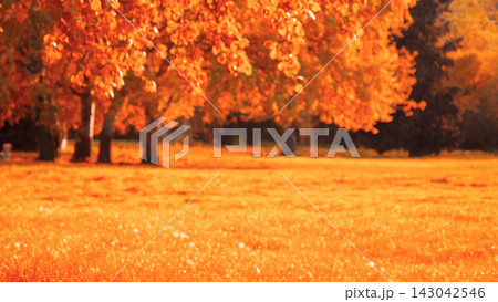 Blurred autumn park background with vibrant orange leaves and trees 143042546