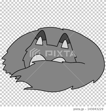 Gray raccoon with wide, curious eyes Gray raccoon with wide, curious eyes 143043229