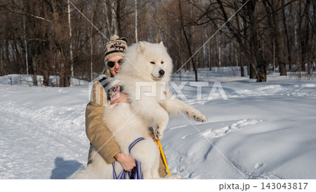 Smiling woman holding fluffy samoyed dog in snowy winter park. Smiling woman holding fluffy samoyed dog in snowy winter park. 143043817