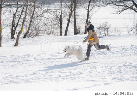 Young woman running with fluffy samoyed dog in snowy winter park. Young woman running with fluffy samoyed dog in snowy winter park. 143043818