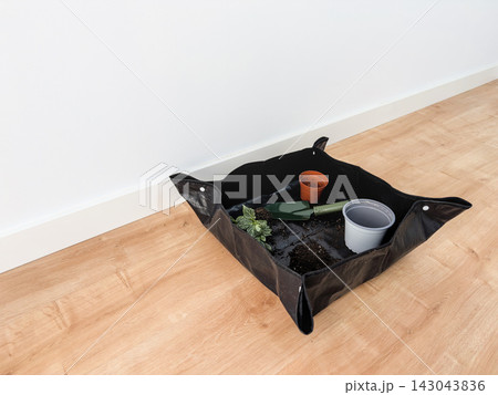 Repotting mat with a fittonia root ball, green trowel, empty nursery pot and new white pot 143043836