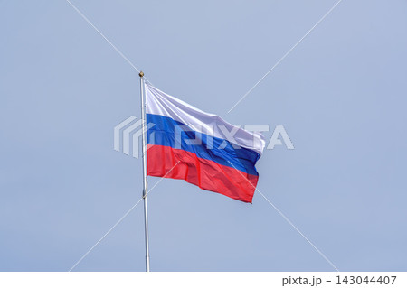 Russian tricolor flag waving in the wind against a blue sky. Fieldbird sits on a branch in spring with a blurred background. 143044407