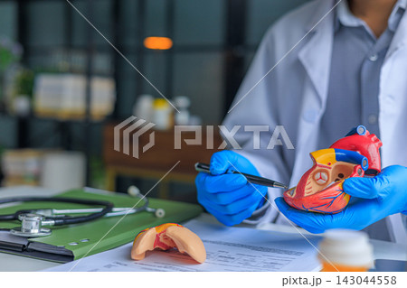 Healthcare professional using heart anatomy model to explaining heart disease diagnosis with medication on desk Healthcare professional using heart anatomy model to explaining heart disease diagnosis with medication on desk 143044558
