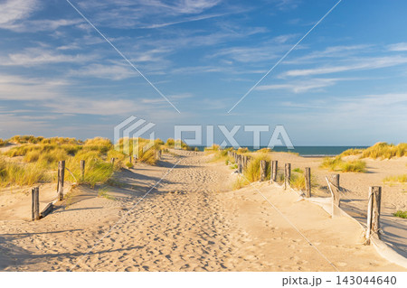 Inviting Sandy Path Through Coastal Dunes Leading to the Horizon Under a Bright Blue Sky on a Beautiful Sunny Day. Dunkirk town in France, Europe. 143044640