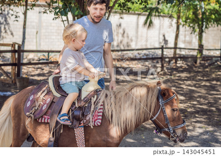 Father accompanies his toddler on a pony ride at a farm. Supportive parenting and new riding experiences. 143045451
