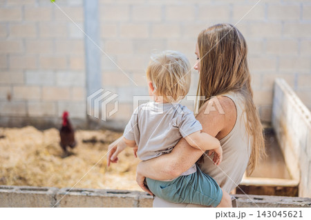 Mother and toddler discover poultry during an educational farm visit. Early childhood learning through animal encounters. Mother and toddler discover poultry during an educational farm visit. Early childhood learning through animal encounters. 143045621