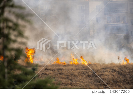 Flames and Smoke Rising from an Urban Grassland Fire. Flames and Smoke Rising from an Urban Grassland Fire. 143047200