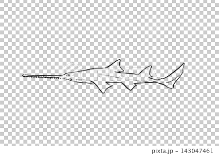 ノコギリエイの手描き線画イラスト ノコギリエイの手描き線画イラスト 143047461
