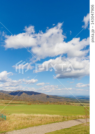 ナイタイ高原牧場への道から望む十勝平野の絶景(秋の北海道) ナイタイ高原牧場への道から望む十勝平野の絶景(秋の北海道) 143047906