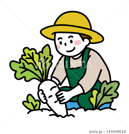 畑で大根を収穫する男性農家のイラスト 畑で大根を収穫する男性農家のイラスト 143049018