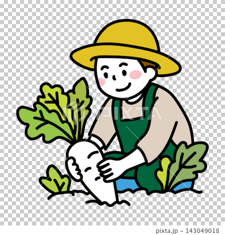 畑で大根を収穫する男性農家のイラスト 畑で大根を収穫する男性農家のイラスト 143049018