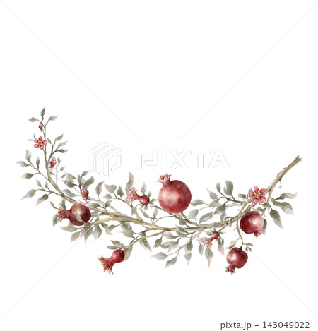 Hand-Painted Watercolor Pomegranate Botanical Border with Moody Foliage 143049022