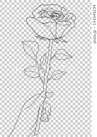 A hand holding a single rose (monochrome) A hand holding a single rose (monochrome) 143049294