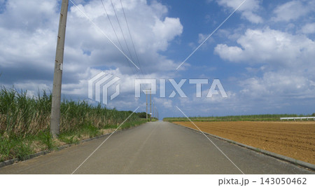 沖縄県伊計島 サトウキビ畑の間を真っ直ぐのびる一本道と青空 143050462