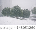 Fresh snow blankets green trees and an urban park landscape with city buildings in the distance during a winter day 143051260