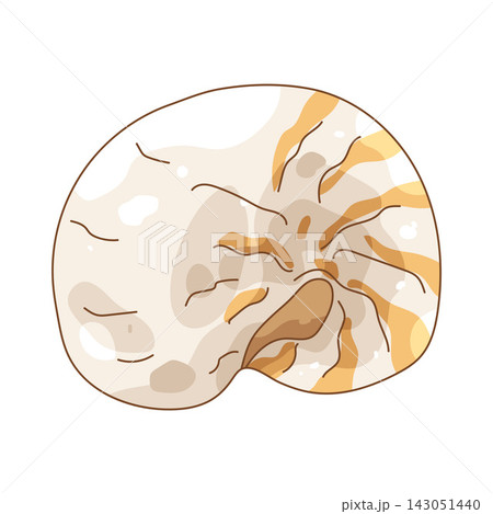 Illustration of spiral shell Illustration of spiral shell 143051440