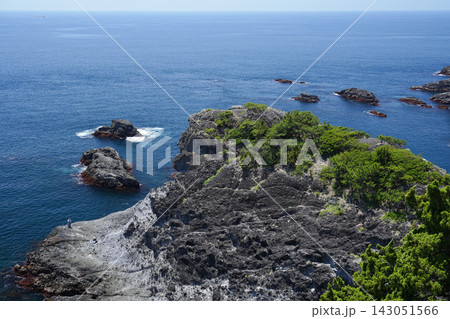 静岡県_南伊豆町_伊豆半島-石廊崎 静岡県_南伊豆町_伊豆半島-石廊崎 143051566