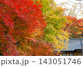 鮮やかなグラデーションを描く紅葉と落ち着いた和風建築の屋根 143051746