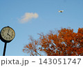 代々木公園の時計塔と紅葉する木々の秋空を飛ぶ飛行機 143051747