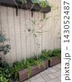 壁と植木とやすらぎ 143052487