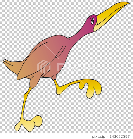 Hand-drawn bird illustration ☆ Scarlet Ibis Hand-drawn bird illustration ☆ Scarlet Ibis 143052597