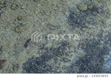 Shallow Clear Water with Pebbles Texture 143053655