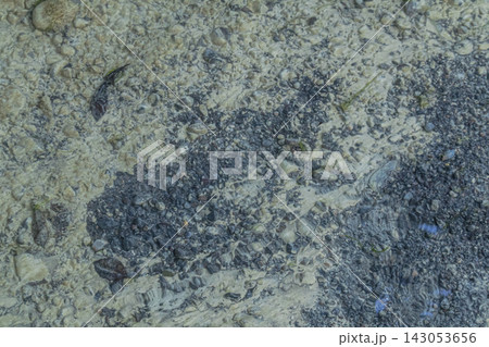 Riverbed Stone Texture Underwater Sand Background Riverbed Stone Texture Underwater Sand Background 143053656