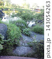 小川のある風景 143054263