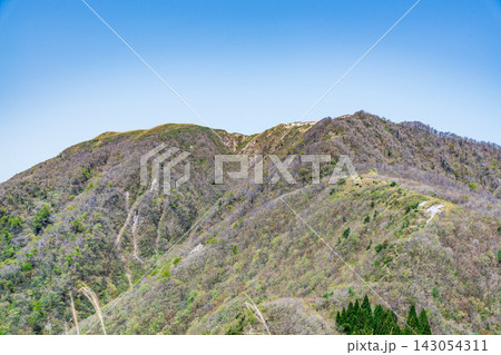 晩春の三瓶山　女三瓶山から見た男三瓶山　島根県大田市 143054311