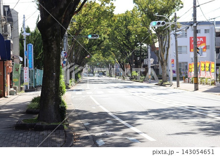 堺市堺区北三国ヶ丘町けやき通り 堺市堺区北三国ヶ丘町けやき通り 143054651