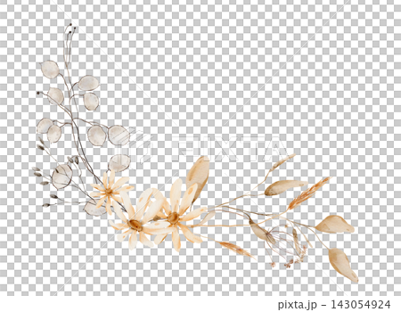 Hand painted watercolor arrangement with cream daisy flowers, translucent lunaria pods, golden wheat spikes, dried seed heads and beige twigs in warm neutral ochre palette isolated on white background 143054924