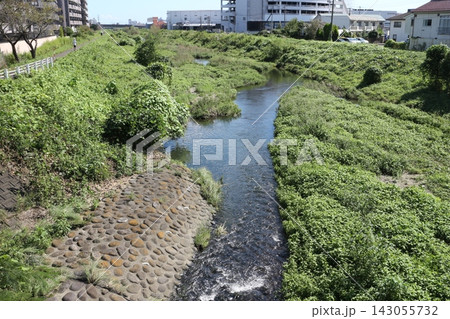 仙台市 宮城野区 新田大橋から見た梅田川の周辺 仙台市 宮城野区 新田大橋から見た梅田川の周辺 143055732