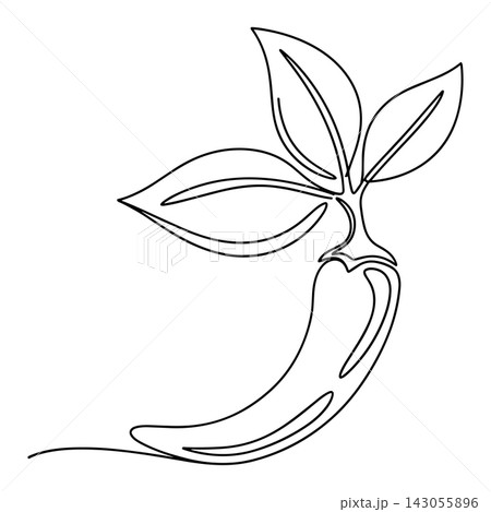 Minimalist continuous line drawing of a chili pepper with leaves on white background Minimalist continuous line drawing of a chili pepper with leaves on white background 143055896