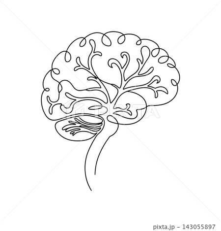 Human brain anatomy illustration drawn in a continuous single line art style 143055897