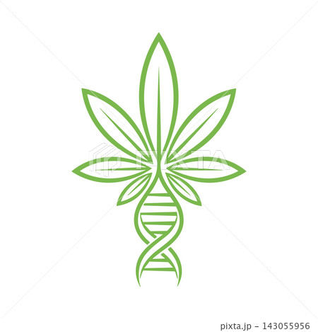 Green cannabis leaf icon combined with a DNA helix structure on a white background 143055956